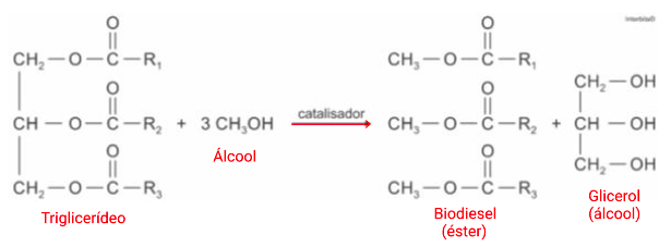 O Biodiesel é Um Biocombustível Obtido A Partir De Fontes Renováveis ...