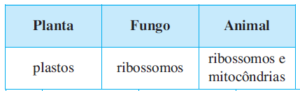 planta - plastos, fungo - ribossomos, animal - ribossomos e mitocôndrias