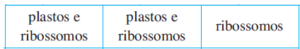 plastos e ribossomos, plastos e ribossomos, ribossomos