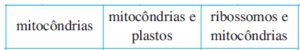 mitocôndrias, mitocôndrias e plastos, ribossomos e mitocôndrias