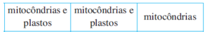 mitocôndrias e plastos, mitocôndrias e plastos, mitocôndrias