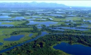 planície do Pantanal